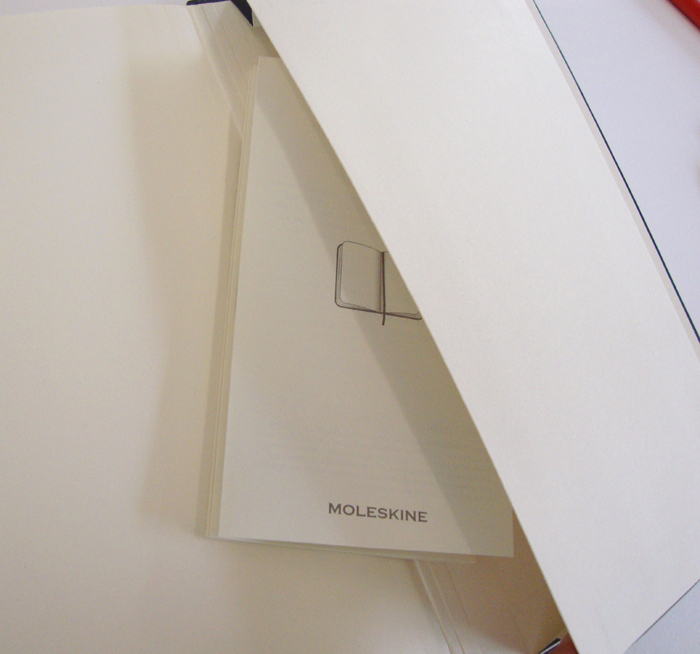 Comparing the Leuchtturm1917 and the Moleskine bullet journal notebooks