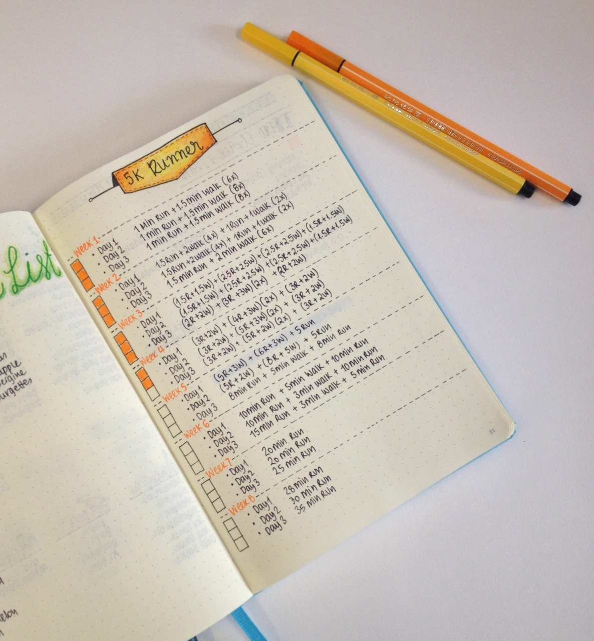 Diet and Weight Loss Plan with the help of my Bullet Journal